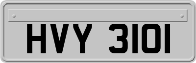 HVY3101