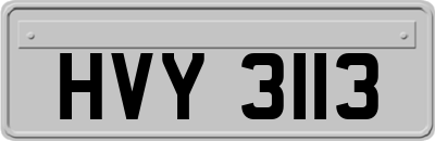HVY3113