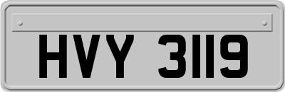 HVY3119