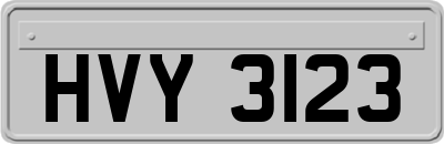HVY3123