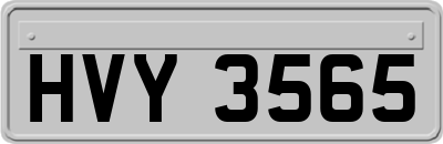 HVY3565