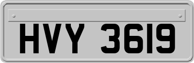 HVY3619