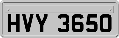 HVY3650