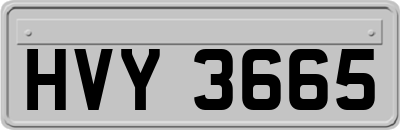 HVY3665