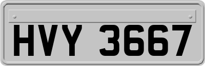 HVY3667