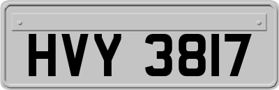 HVY3817