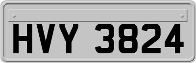 HVY3824