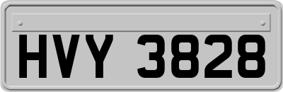 HVY3828