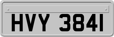 HVY3841