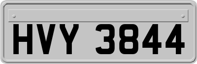 HVY3844