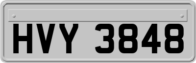 HVY3848
