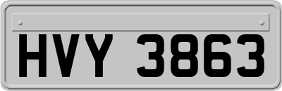 HVY3863