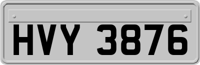 HVY3876