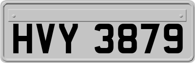 HVY3879