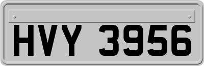 HVY3956