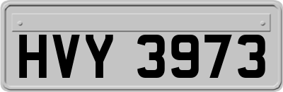 HVY3973