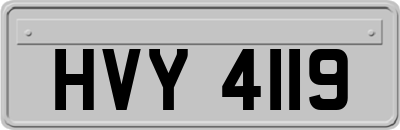HVY4119