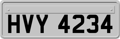 HVY4234