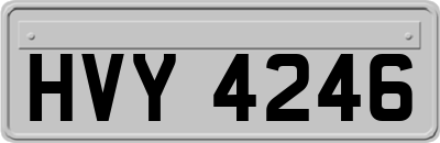 HVY4246