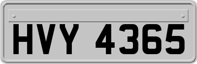 HVY4365