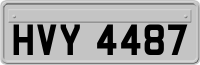 HVY4487