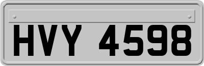 HVY4598
