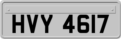 HVY4617