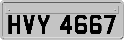 HVY4667