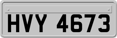 HVY4673