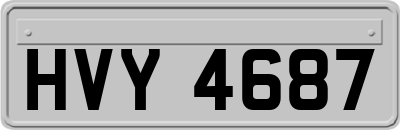 HVY4687