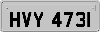 HVY4731