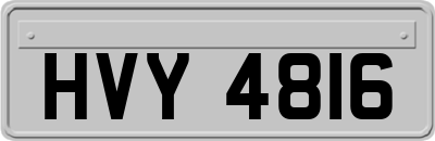 HVY4816