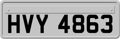 HVY4863