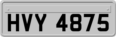 HVY4875