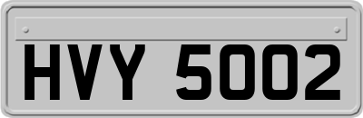 HVY5002