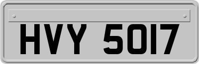 HVY5017