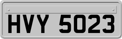 HVY5023
