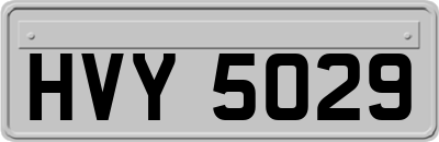HVY5029