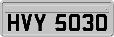 HVY5030