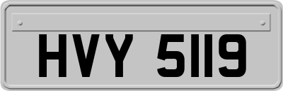 HVY5119