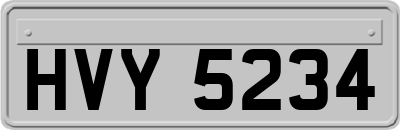HVY5234