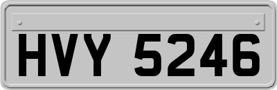 HVY5246