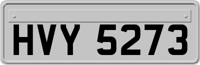 HVY5273