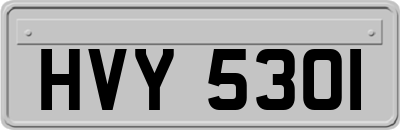 HVY5301