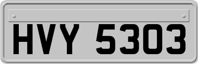 HVY5303
