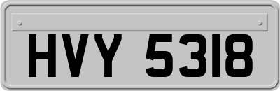 HVY5318