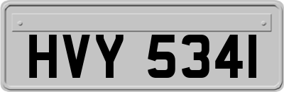 HVY5341