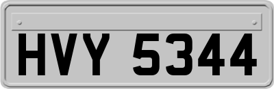 HVY5344