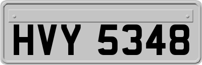 HVY5348