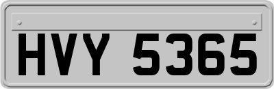 HVY5365